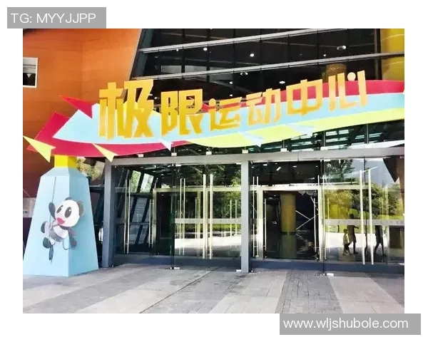 重庆极限运动队区域防守分析与战术调整探讨