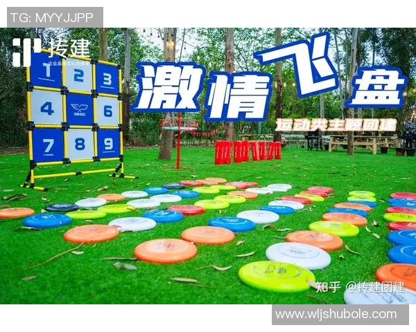 飞盘盛宴:深入南京飞盘队的速度与激情之旅